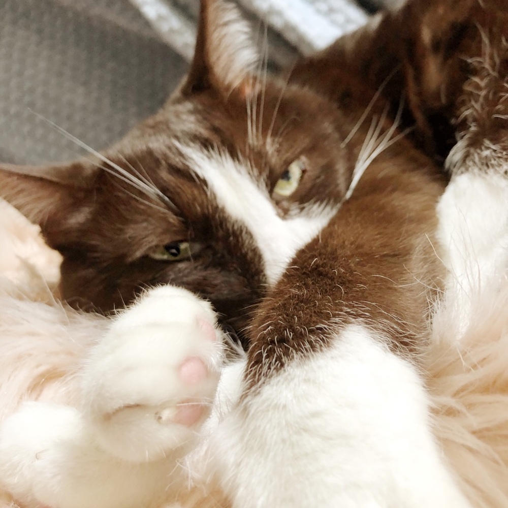 Meet your Posher, Rilynn